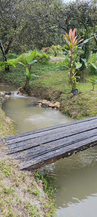 AFdhal Farm Picture 6