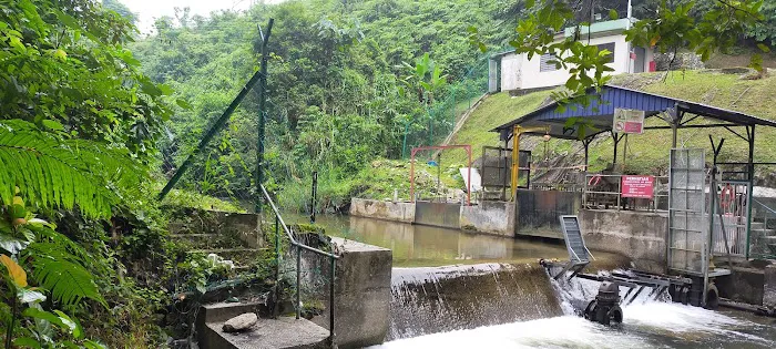 JUNGLE LODGE ALANG SEDAYU Picture 1