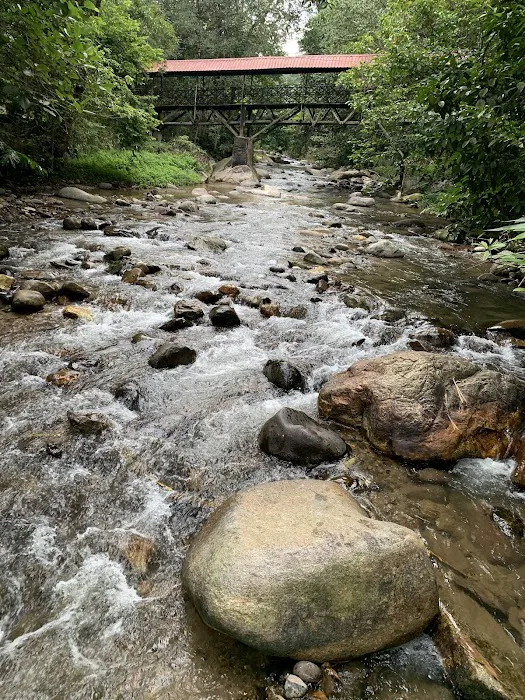 JUNGLE LODGE ALANG SEDAYU Picture 2