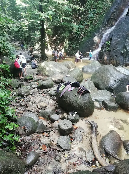 JUNGLE LODGE ALANG SEDAYU Picture 4