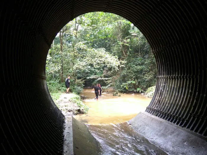 JUNGLE LODGE ALANG SEDAYU Picture 8