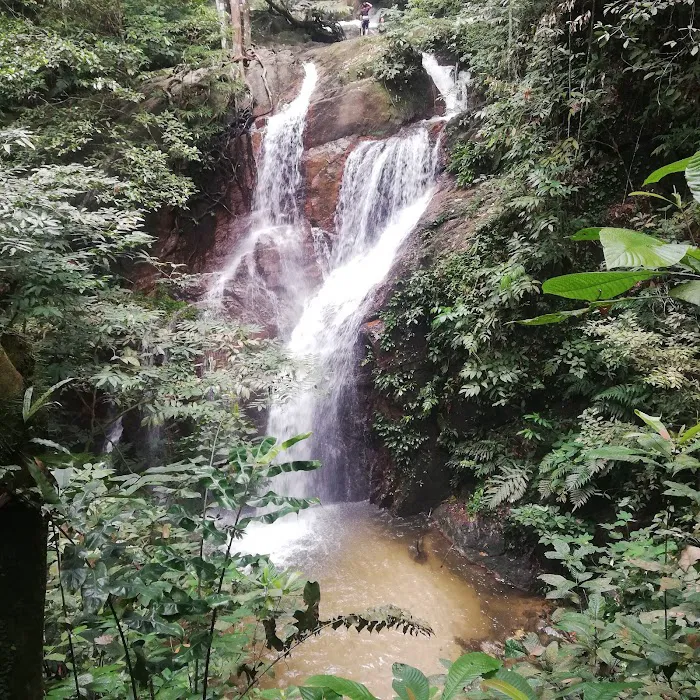 JUNGLE LODGE ALANG SEDAYU Picture 7