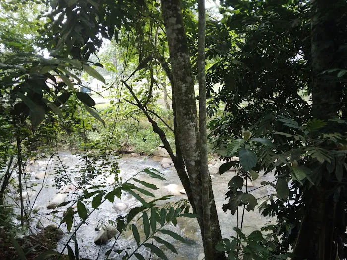 Puncak sedayu travel and jungle lodge Picture 5
