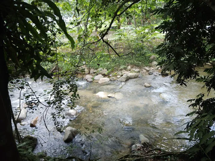 Puncak sedayu travel and jungle lodge Picture 4