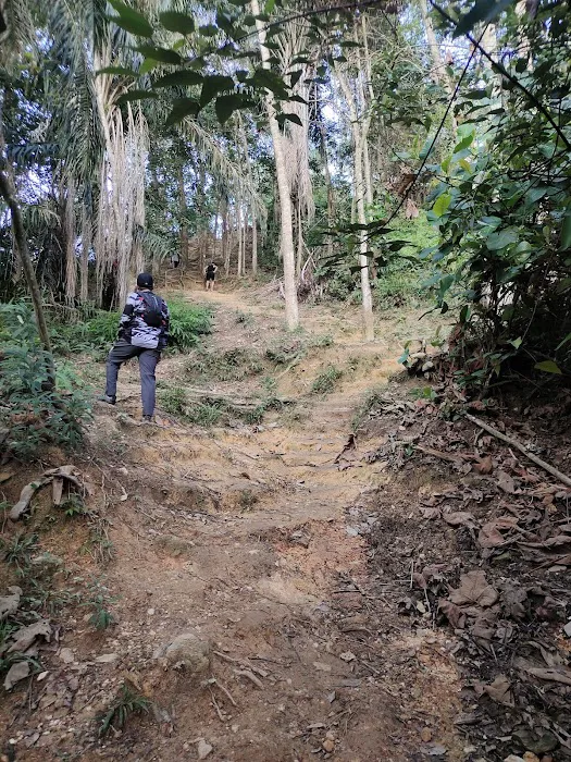KG LUBOK SIMPUL Picture 1