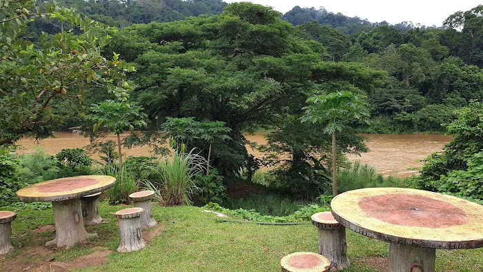 Taman negara rainbow guest house Picture 6