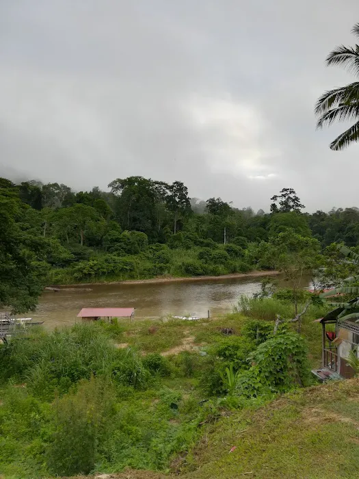 Taman negara rainbow guest house Picture 8