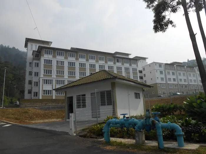 Alamanda 2 Picture 2