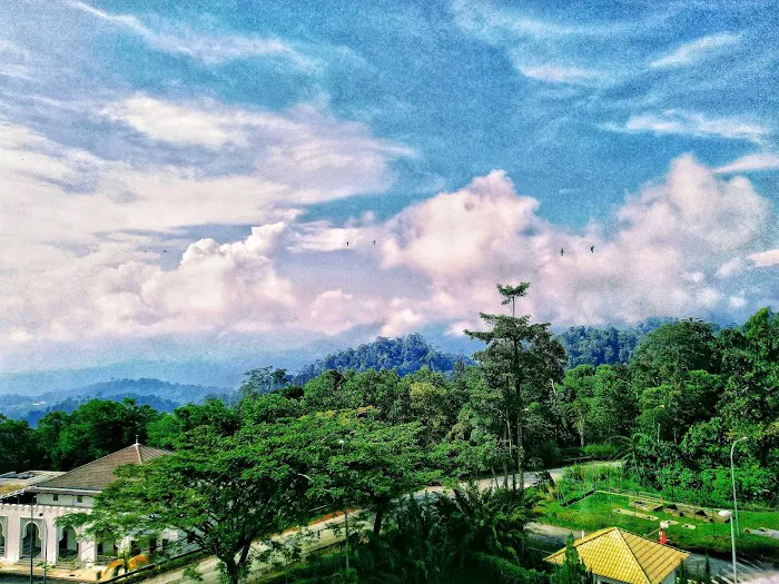 Alamanda 2 Picture 1