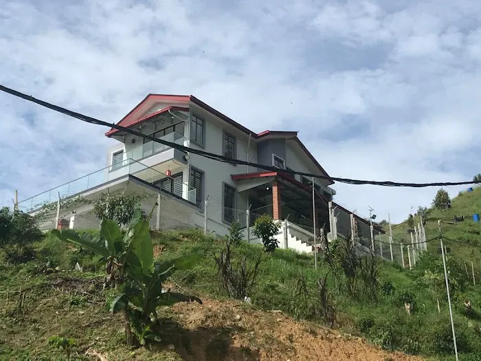 Perfect Hill View Picture 1
