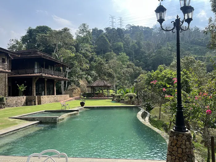 Puncak Rimba Picture 3