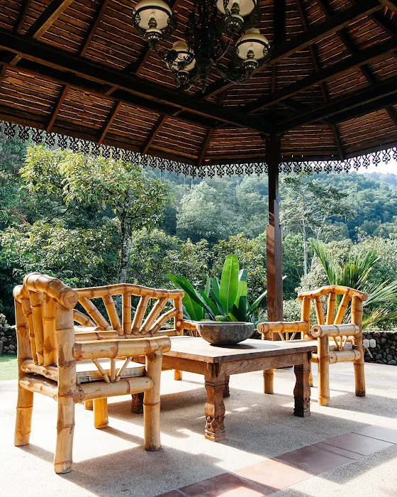 Puncak Rimba Picture 10