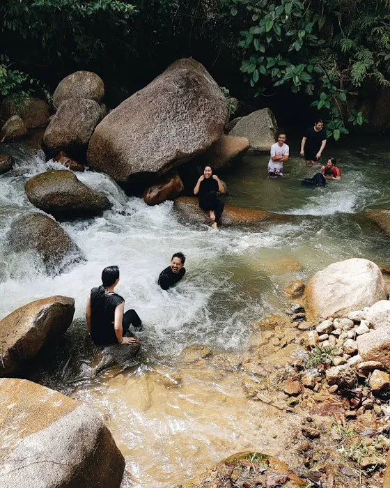 Puncak Rimba Picture 7