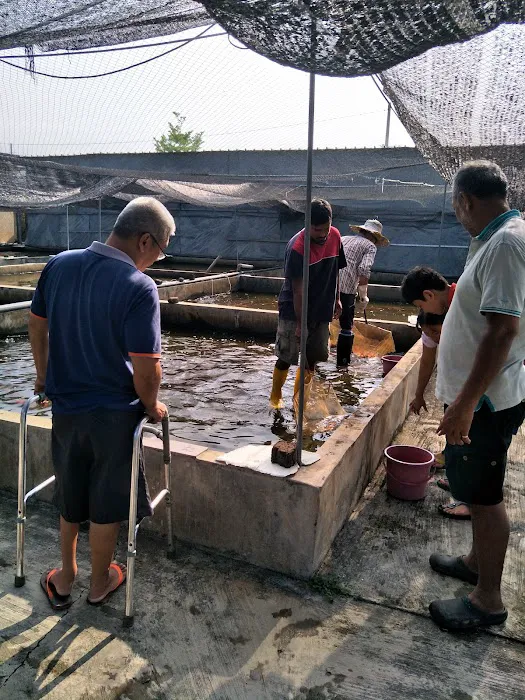 kamponghomestay 新村民宿 Picture 4