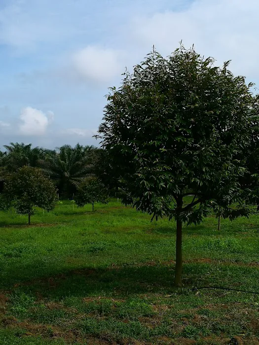 Taman Seri Indah Ecofarm Picture 2