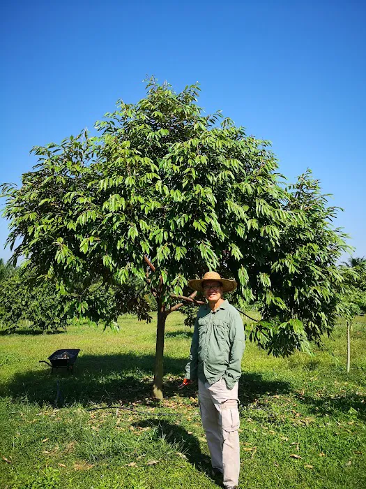 Taman Seri Indah Ecofarm Picture 3