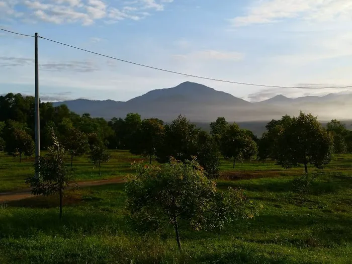Taman Seri Indah Ecofarm Picture 1