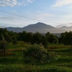 Taman Seri Indah Ecofarm