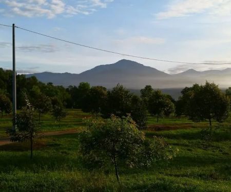 Taman Seri Indah Ecofarm