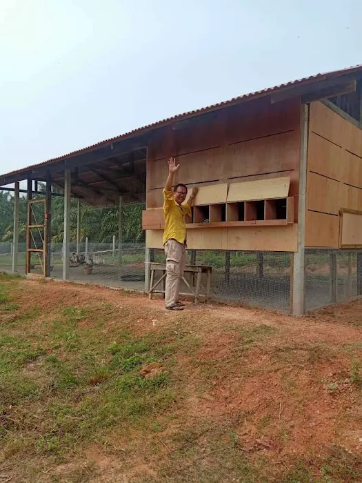 Taman Seri Indah Ecofarm Picture 10