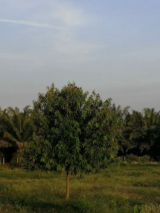 Taman Seri Indah Ecofarm Picture 7