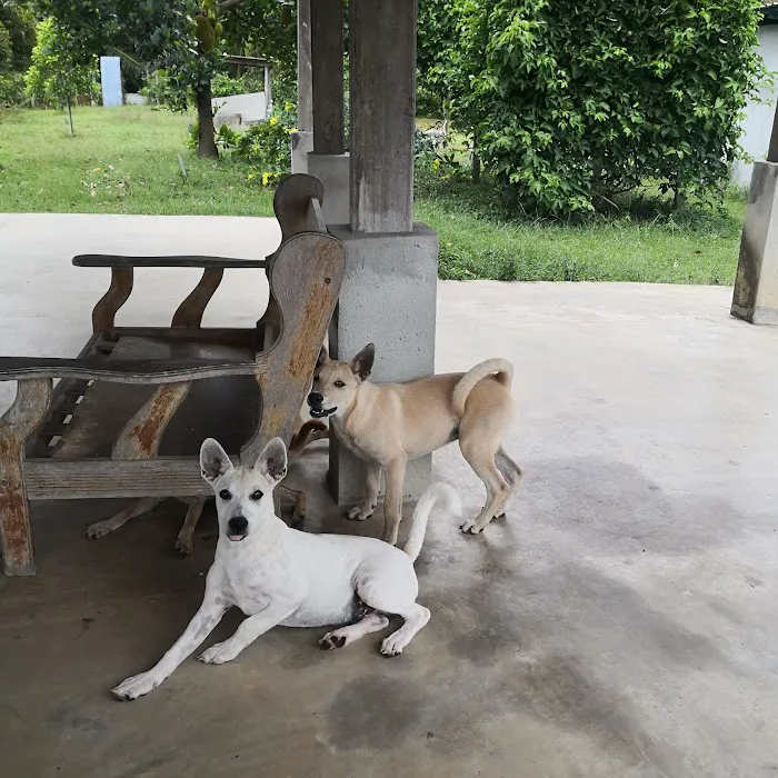 Taman Seri Indah Ecofarm Picture 9