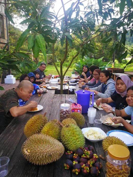 Bagas Zakariah Orchard Lodge Picture 7