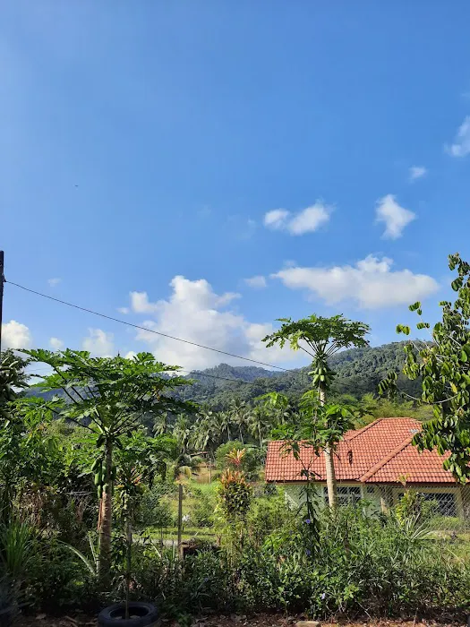 Bayu Bukit Homestay Picture 5
