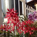 Homestay D' Anggerik