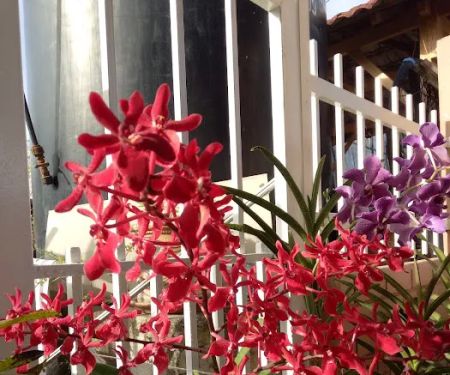 Homestay D' Anggerik