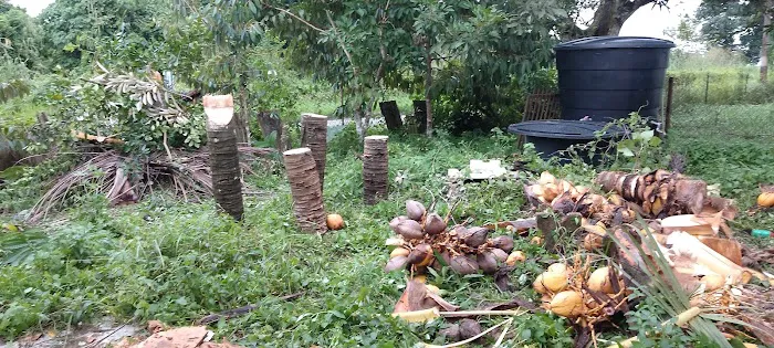 Rumah Tunjung Picture 3