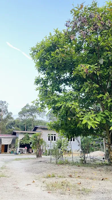 ABDULLAH HOUSE Picture 7