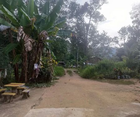 Rumah Abe Jali Ana