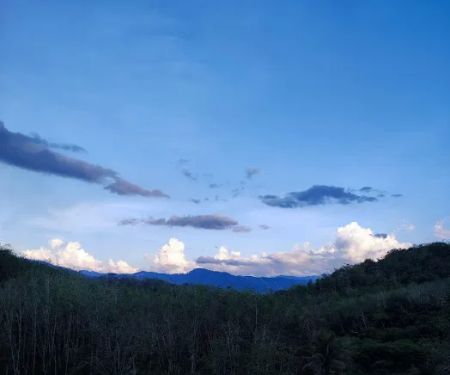 Kampung Cempaka,Lata Rek