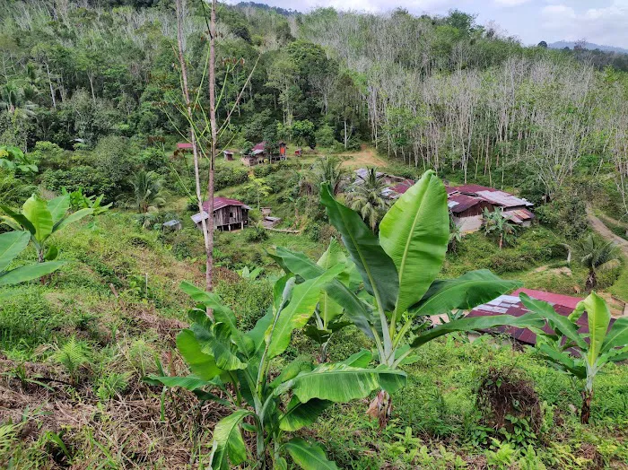 Kampung Cempaka,Lata Rek Picture 3