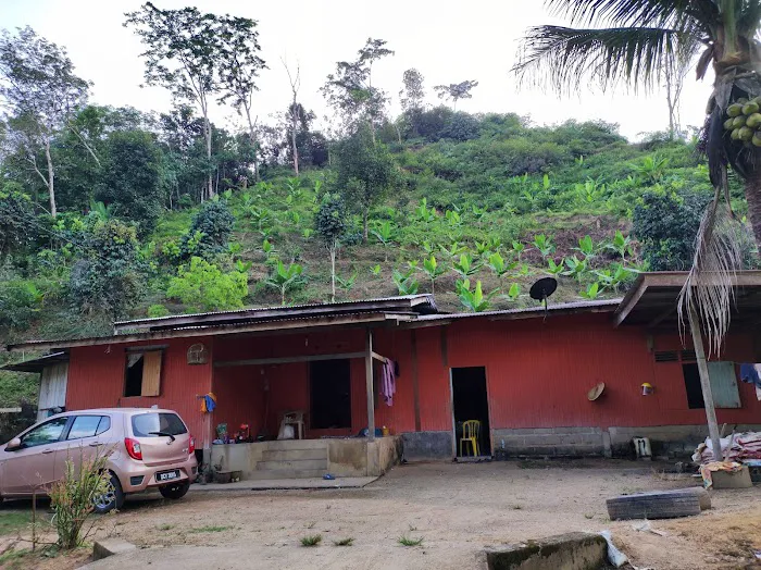 Kampung Cempaka,Lata Rek Picture 2