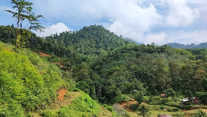 Kampung Cempaka,Lata Rek Picture 9
