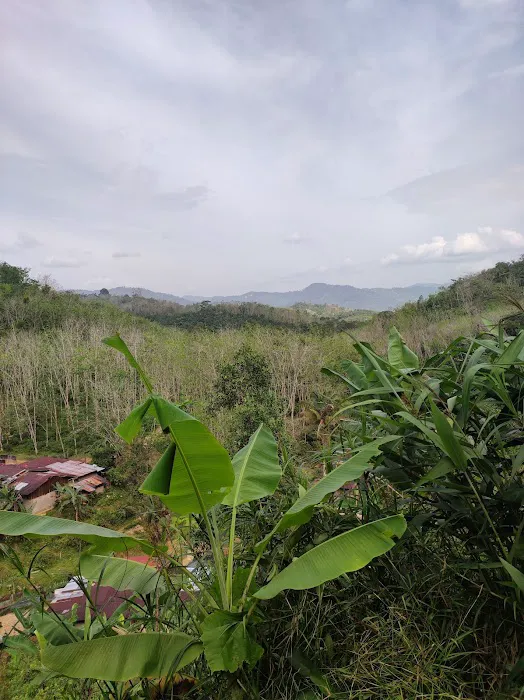 Kampung Cempaka,Lata Rek Picture 5