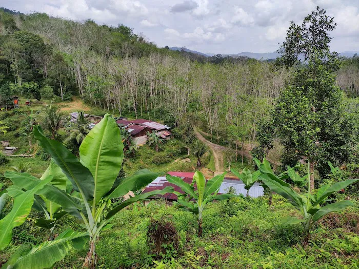 Kampung Cempaka,Lata Rek Picture 10