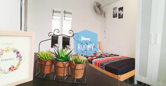 ROOMY - ASB02 Picture 2