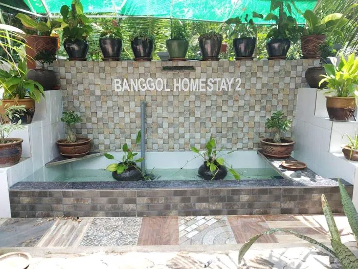 Banggol Homestay Picture 5