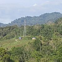 Dooreeann hills ico