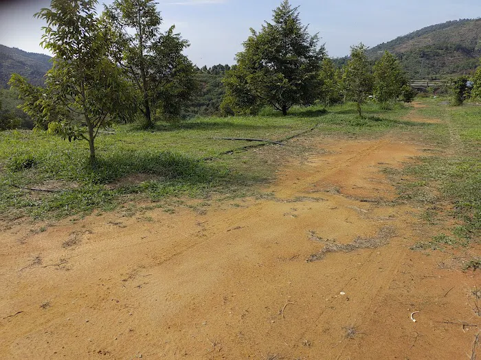 Dooreeann hills Picture 4