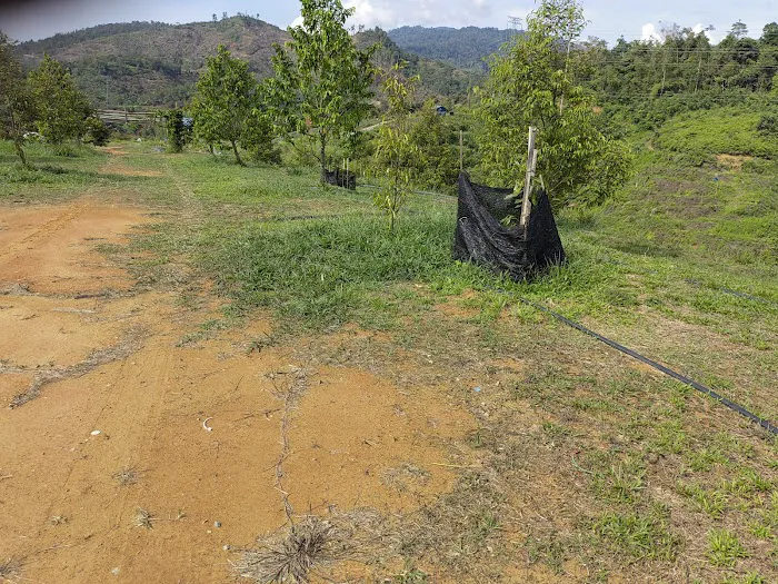 Dooreeann hills Picture 6