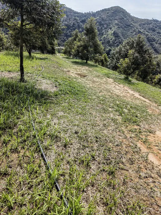 Dooreeann hills Picture 9