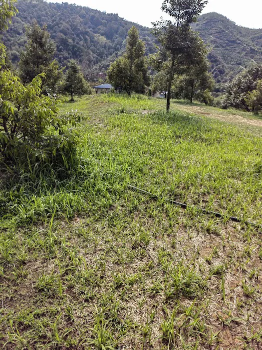 Dooreeann hills Picture 10
