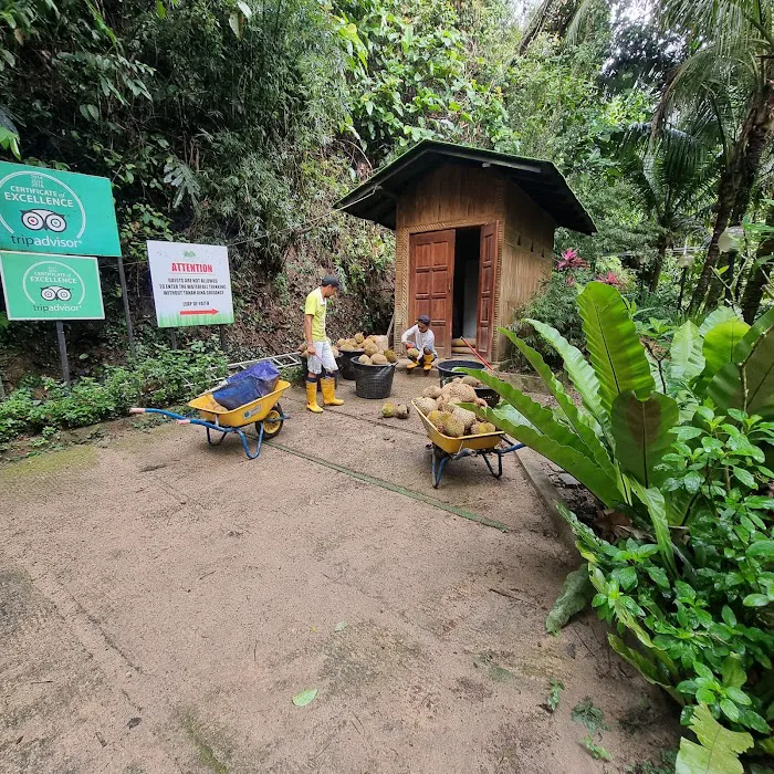 Tanah Aina Farrah Soraya Resort Picture 3