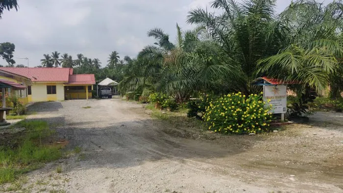 Kenanga Homestay Picture 1