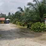 Kenanga Homestay