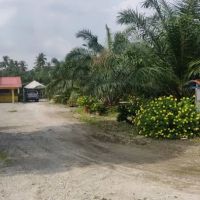 Kenanga Homestay ico